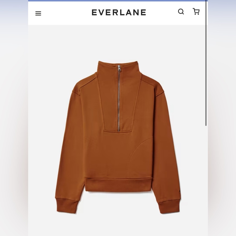 Everlane Half-Zip Sweatshirt in Burnt Orange